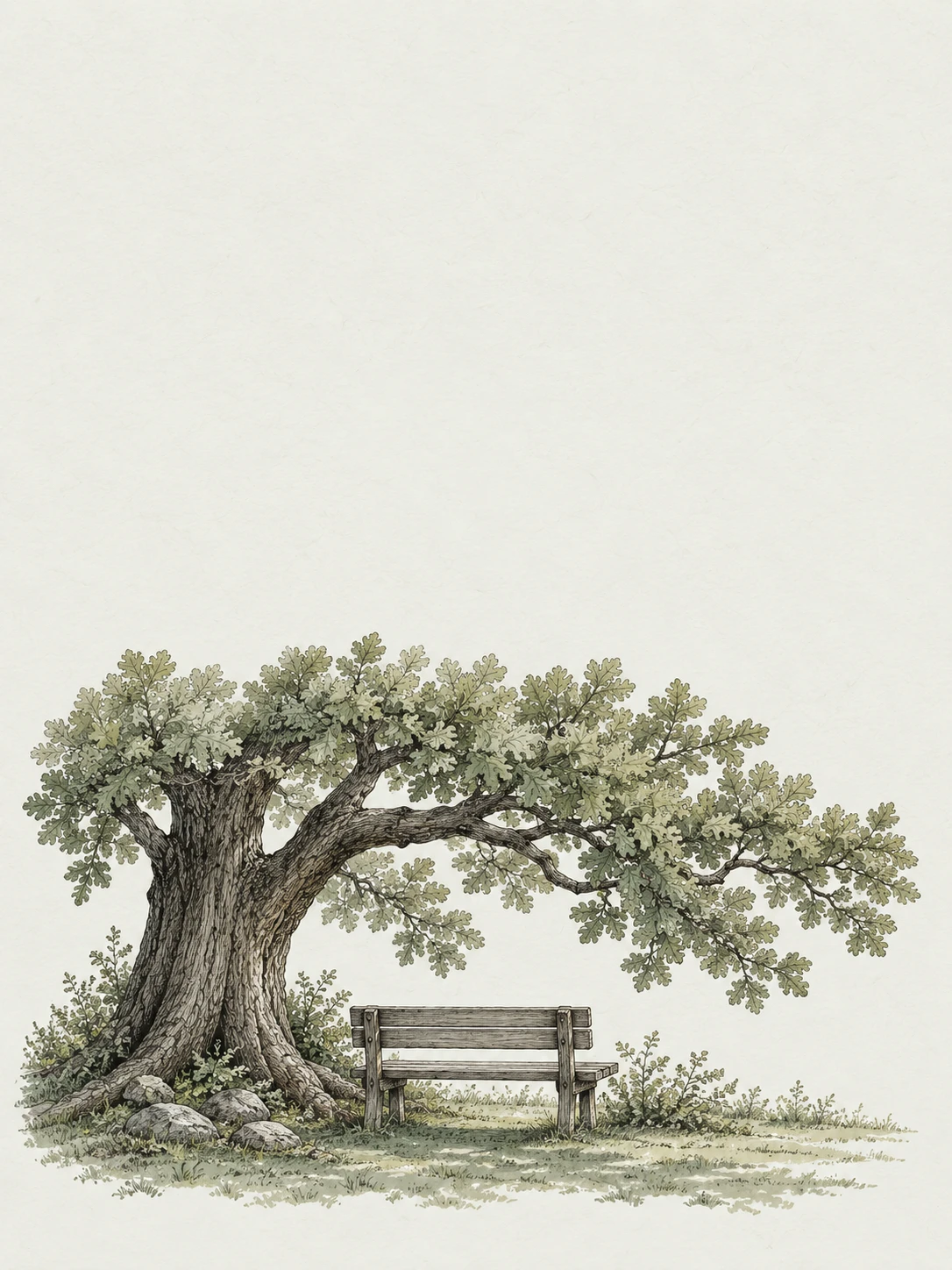 A wooden bench beneath a spreading oak, drawn in fine ink with a sage wash.