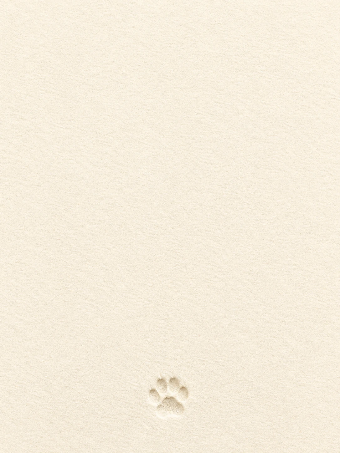 A small paw impression embossed in cream cotton paper.