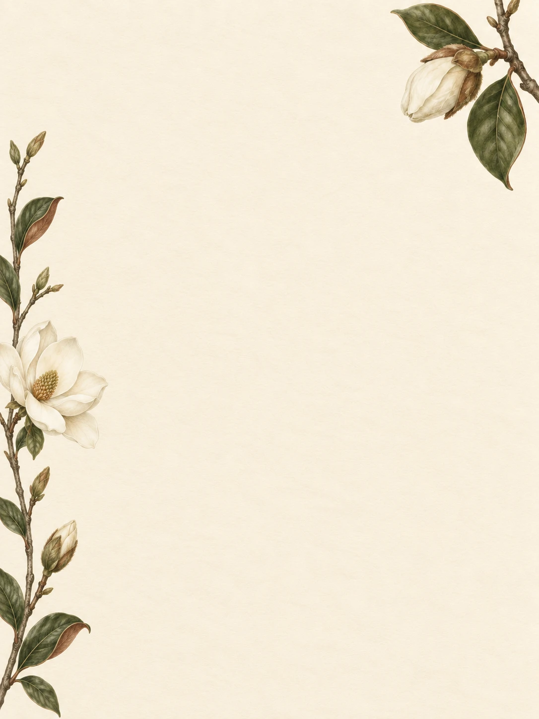 Fine ivory magnolia flowers and olive leaves along the outer edges of warm cream paper.