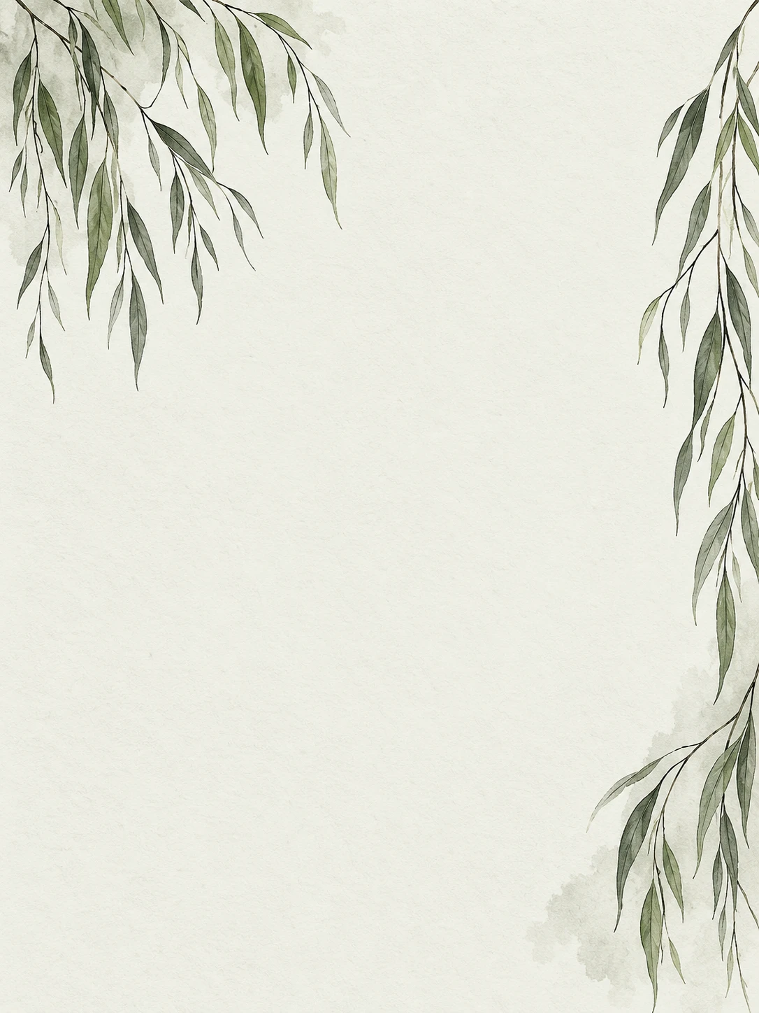 Fine willow leaves hanging along the outer edges of pale sage paper.