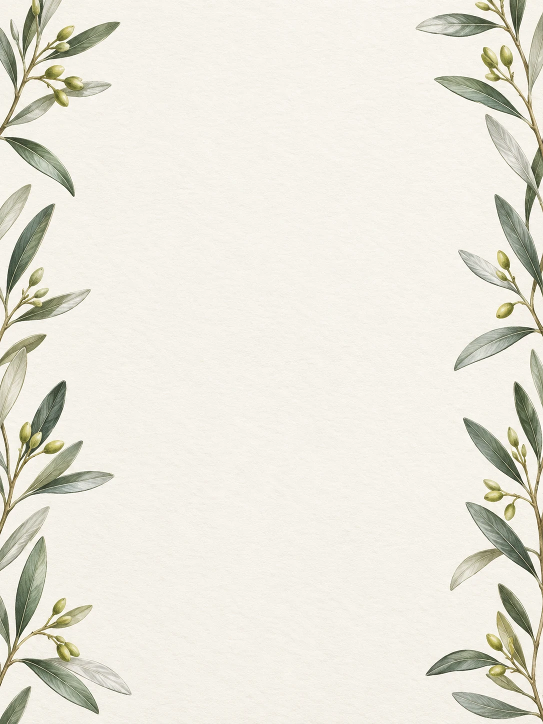 Slender olive branches with silvery leaves frame an open ivory paper center.